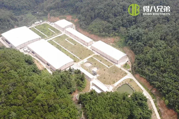 ãSistem penyusuan cecairãGuangdong Zhaoqing 20000 menggemukkan 10000 menyapih ladang babi.