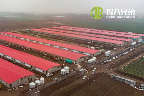 ãProjek talian penuhãShandong Zhucheng4800 menyemai ladang