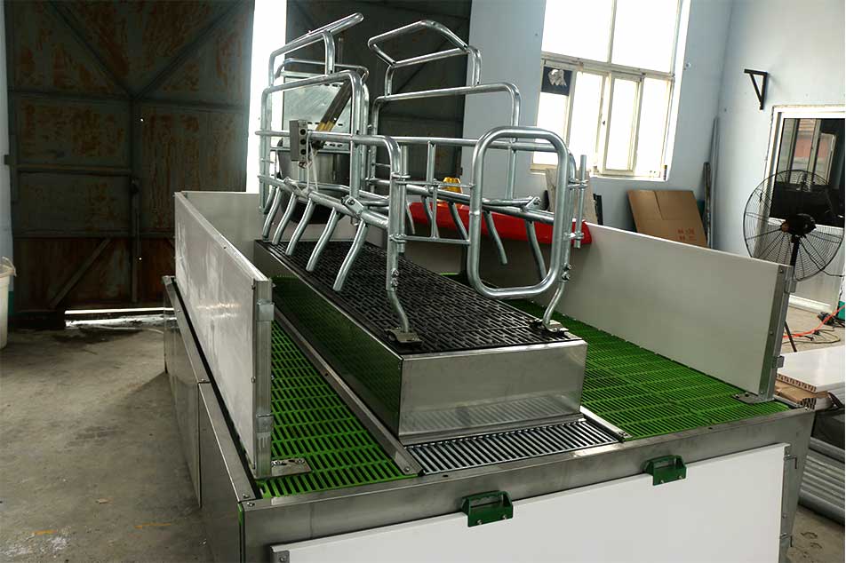 Meningkatkan Anak Babi yang Sihat dan Mengurangkan Beban Kerja: Peranan Pneumatic Adjustable Farrowing Crates