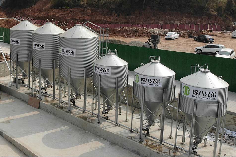 Silo Makanan Ladang Babi: Peralatan Utama untuk Mengoptimumkan Penyimpanan dan Pengurusan Makanan di Ladang Babi