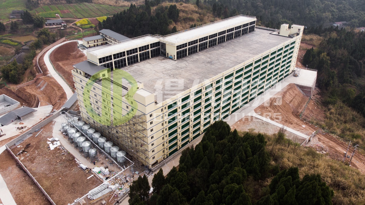 Bagaimana untuk Meningkatkan Kualiti Alam Sekitar dalam Reka Bentuk Ladang Babi Moden