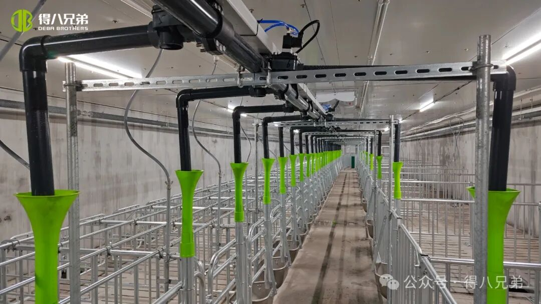 Deba Brother Licha Pangkalan Demonstrasi Pembiakan dan Penanaman Babi Hitam - Operasi Bersepadu 2,000 Ekor Benih, 50,000 Penyembelihan Tahunan, 67,000 meter persegi