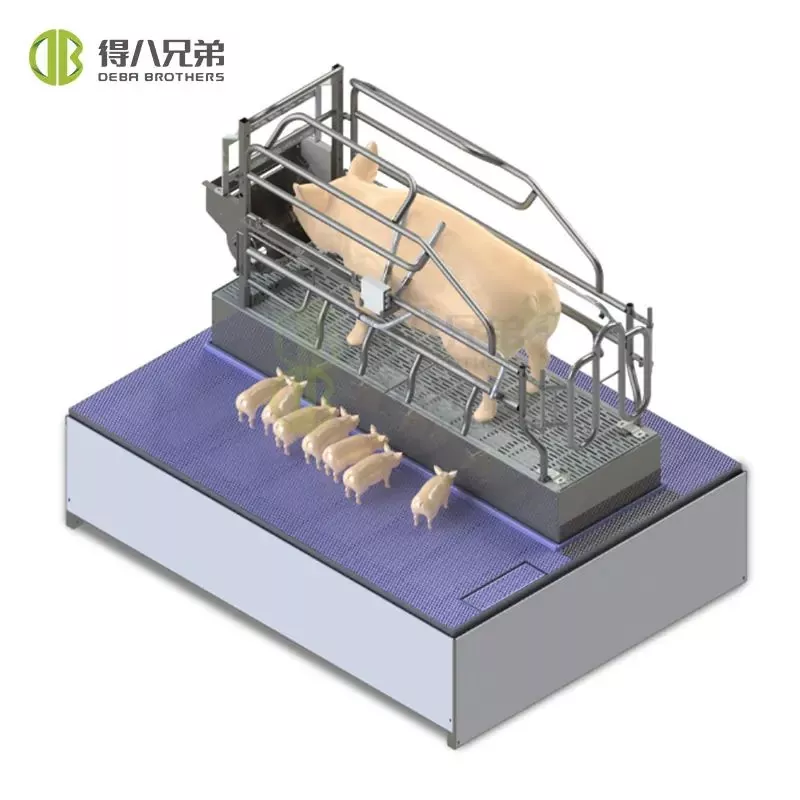 Angkat Farrowing Crate